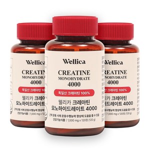 웰리카 프리미엄 크레아틴 모노하이드레이트 4000, 120정, 3개