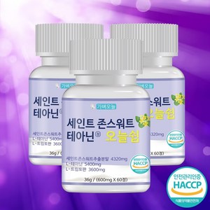 가벼오늘 세인트존스워트 L테아닌 오늘 쉼 600mg, 60정, 3개