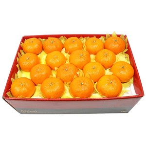 삼다몰 제주 레드향 3kg 5kg 10kg, 1개, 레드향(왕특대) 10kg(20~33과)