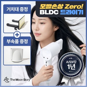 더문 헤어 드라이기 항공모터 음이온 여행용 전문가용 BLDC 미용실드라이어