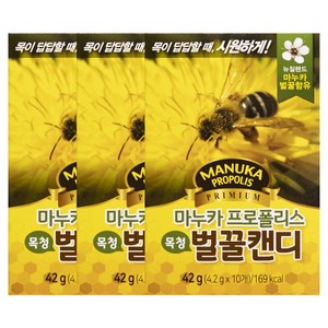 마누카 프로폴리스 벌꿀캔디 3EA목캔디, 42g, 3개