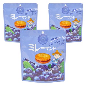 몬프레지르 밀레 샌드 블루베리 잼, 6g, 21개