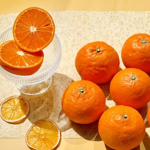 가정용 선물용 카라향 제주, 3kg(가정용 10-25과)