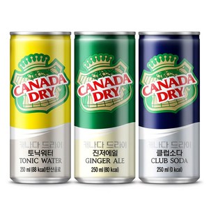 캐나다드라이 토닉워터, 250ml, 30개