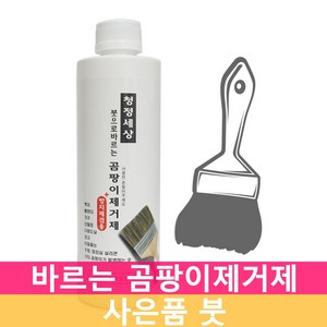 붓으로 바르는 곰팡이 제거제 제거 벽지 실리콘 젤 화장실 욕실 창틀 창문 벽 베란다 방지제 방지 곰팡이차단 세정제, 곰팡이제거제, 1개