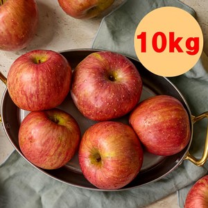 효성팜 사과 부사 10kg 가정용 못난이 청송 안동 문경 거창, 1박스, 사과 10kg (55과내외/소과)