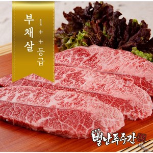 [농협안심한우] 1++등급 한우 부채살 500g  구이용, 1개