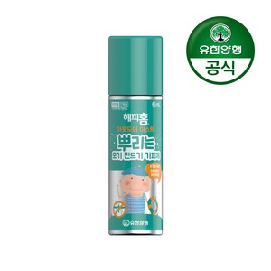 해피홈 아웃도어 미스트 뿌리는 모기 진드기 기피제, 65ml, 1개