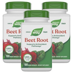 네이쳐스웨이 비트 루트 500mg 베지테리안 캡슐, 100정, 3개