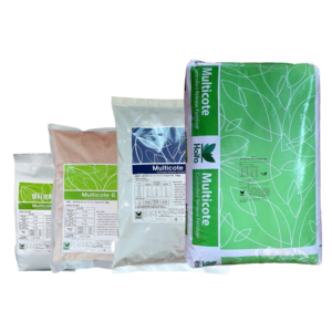 [농사마트] 멀티코트 1kg 5kg 10kg 25kg 6개월 완효성 고추 다육이 화분 블루베리 코트 비료 하이파케미칼 사은품 계량수저, 멀티코트(6) 14-14-14 / 5kg, 1개