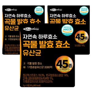 자연속 하루 효소 곡물 발효 효소 유산균 45종, 90g, 3개