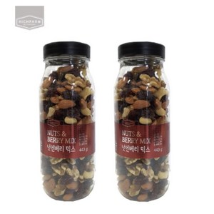리치팜너트 넛엔베리 믹스넛, 440g, 2개