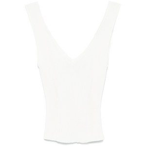 골든 구스 골지 탑