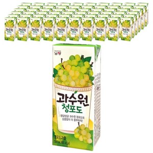 남양 과수원 청포도, 190ml, 72개