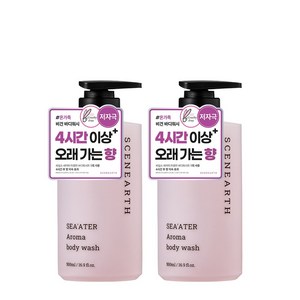 씨널스 씨어터 아로마 퍼퓸 보습 바디워시, 500ml, 2개