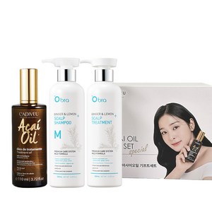 [선착순 니트백 증정] 설인아x아사이오일 110ml 기프트세트 / 헤어에센스 + 샴푸 볼륨 세트, 1개