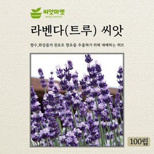 다농 라벤다 씨앗 100립, 1개