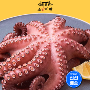 [소담어반] 대왕 자숙 문어 한마리 선물세트 선물용 제수용 가정용, 1개, 1kg 1마리