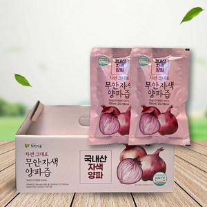 자연식품 자연 그대로 무안 자색양파즙, 100ml, 30개