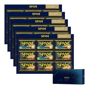 스팸 8C호 선물세트 + 쇼핑백, 5세트