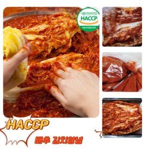 [굿피플] 국산 HACCP 배추김치양념 절임배추 김장 양념, 1박스, 8kg