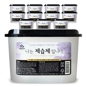 홈트너 나는 제습제 입니다 대용량, 570ml, 12개