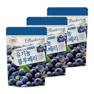 호재준 냉동유기농블루베리(미국산) 500g, 3개