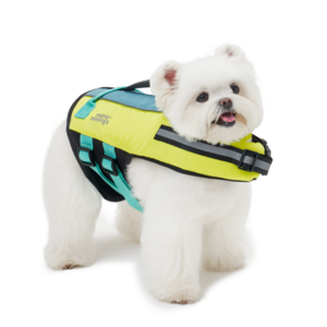 멍뭉스 강아지 물놀이 세이프가드 구명조끼, 옐로우+아쿠아 블루, M, 1개