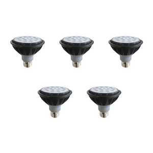 데이온 파30 LED 15W 집중형, 주백색, 5개