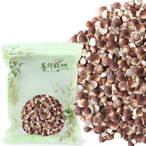 동의한재 감인 검인 가시연밥 가시연꽃 씨앗, 300g, 1개