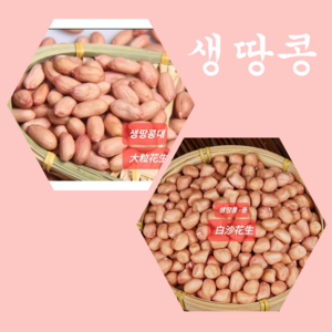 [신중국식품]생땅콩 중국산생땅콩큰알(대) 성화성 생땅콩중(바이싸), 500g, 1개