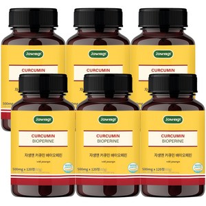 자생 커큐민 앤 바이오페린, 120정, 6개