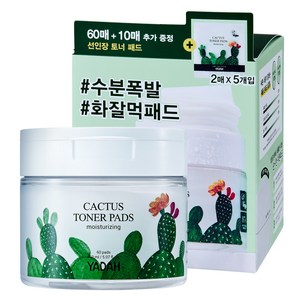 야다 선인장 토너패드 150ml, 70매입, 1세트