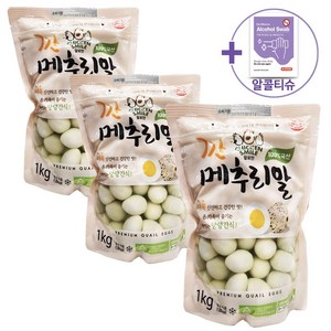 코스트코 깐 메추리알 1KG X 3 [아이스박스] + 더메이런알콜티슈, 3개
