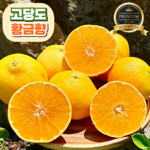 [고당도] 황금향 15brix 제주 산지직송, 1개, 가정용 3kg