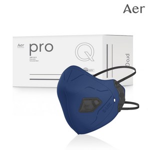 아에르 Pro Q200F (프로 큐) 1급 방진마스크 1BOX (10개입) / 산업용 공사현장 분진 용접용, 아에르 PRO Q200F 1급 방진 (다크블루), 10개입, 1개