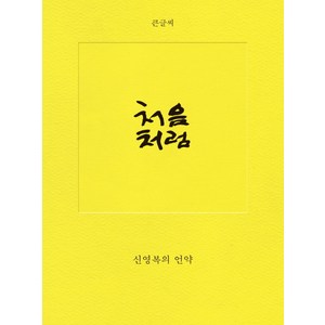 처음처럼(큰글씨):신영복의 언약, 돌베개, 신영복