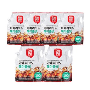 한박스 온리프라이스 아메리카노 헤이즐넛액상커피2100ml X 6개, 2.1L