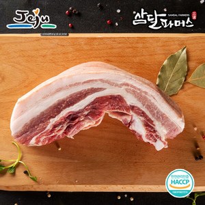 [삼달파머스]냉장 제주 흑돼지 오겹살 500g x2팩 /스킨포장, 1