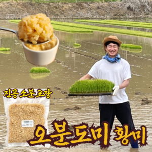 오분도미 오분도미쌀 삼시세끼 오분도쌀 5분도미 황미 진공포장 쌀눈 쌀리버리 황미쌀, 10kg, 1개