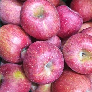 농장직송 못난이 가정용 흠집 사과 5kg (16~22과), 1개