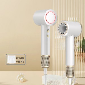 HESUNYI 음이온 고속 헤어 드라이어 BLDC 드라이기 고출력드라이어 1300W, 화이트