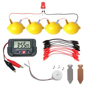 과일전지 재료선택 구매 멜로디버저 디지털시계 구리전극 아연전극, 8.디지털시계