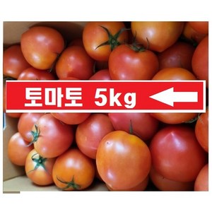 자연초농산>(정품/주스용 아님) 싱싱한 토마토 오늘-출고/국내산 토마토 생5키로, 1박스, 5kg