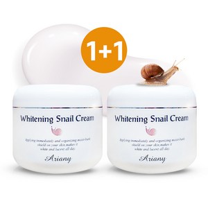 아리아니 화이트닝 스네일(달팽이) 크림 2EA 영양 미백 기능성, 2개, 100g