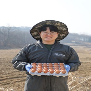 난각번호 1번 계란 무항생제 자연방사 유정란 달걀 20구 30구 40구 60구 계란, 난각번호 1번 40구, 1개