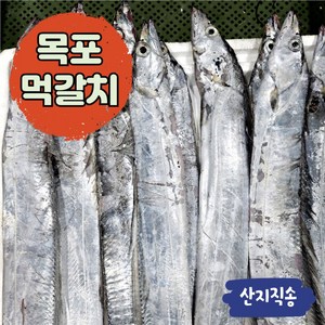 목포 갈치 생물 먹갈치 가정용(5~6마리 1.4kg), 1개(7~8미)