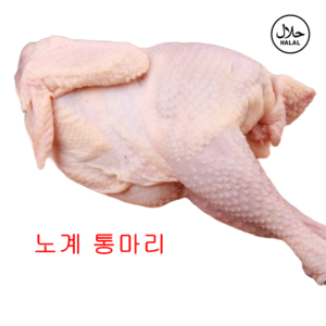 HALAL OLD CHICKEN WHOLE(할랄노계통마리)노계통마리 1.2KG이상/1PACK, 1.2kg, 1개