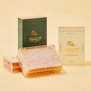 네이처 허니비 벌집꿀 허니콤 자연벌꿀 밀랍벌집꿀, 500g, 1개