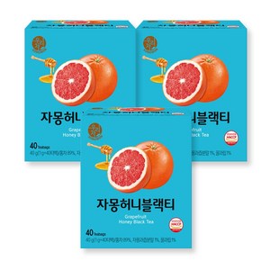 우리차 자몽허니 블랙티